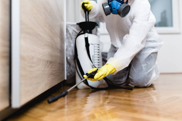 Best Termite Control Services  in Forestville, MD