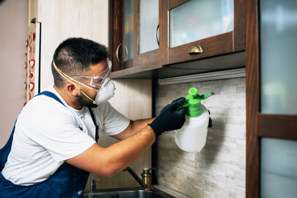 Best Pest Control Near Me  in Forestville, MD