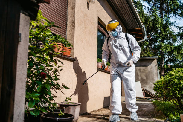 Best Exterminator Services  in Forestville, MD
