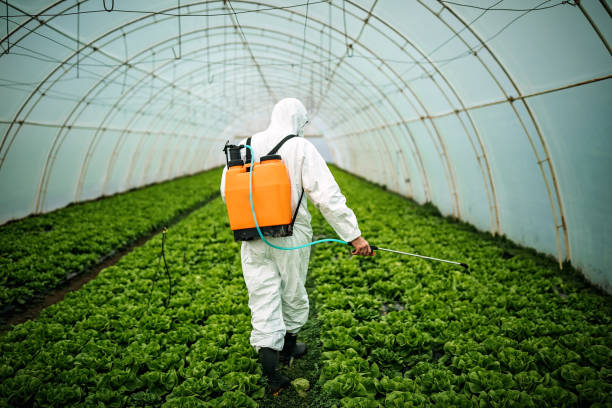 Best Emergency Pest Control  in Forestville, MD