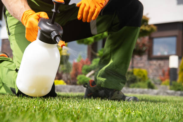 Best Pest Prevention Services  in Forestville, MD