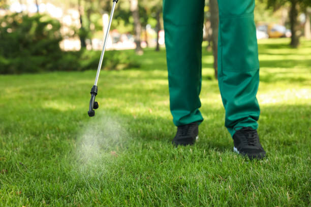 Best Pest Control Near Me in Forestville, MD