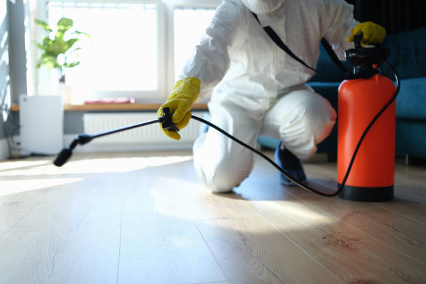 Best Local Pest Control Services  in Forestville, MD