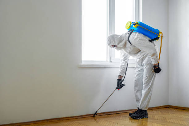 Best Flea Control Services  in Forestville, MD
