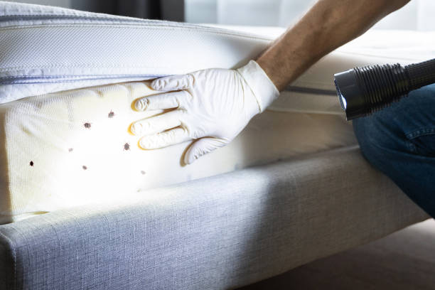 Best Wildlife Control Services  in Forestville, MD